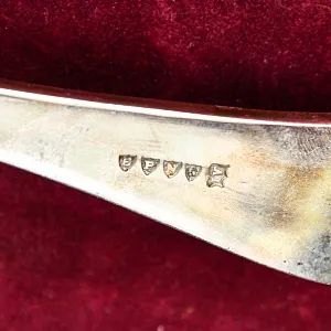 Редкость! Соусник - Судок с крышкой и ложкой "Цветы Ирисы" , Limoges Франция, середина ХХ века.