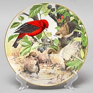 Коллекционная Тарелка «Алая танагра - Учимся летать» Фарфор, Franklin Porcelain США -1983 год.