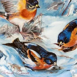 Коллекционная Тарелка «Вьюрки зимой» Фарфор, Hutschenreuther, Германия -1993 год.