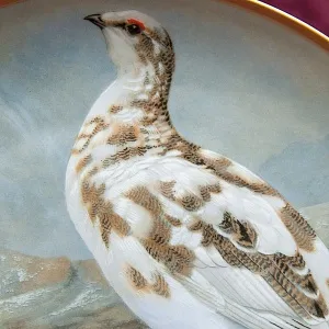 Коллекционная Тарелка «Белая Куропатка» Фарфор Лимож Limoges Франция 1979 год.