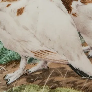 Коллекционная Тарелка «Лесной Год, НОЯБРЬ. Куропатки» Фарфор, Англия -1983 год.