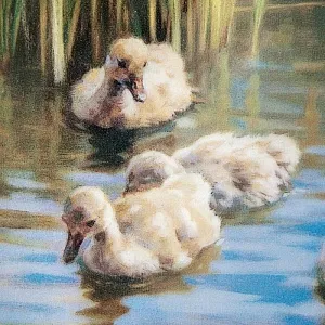 Коллекционная Тарелка «Гордые Лебеди» серия «Птицы у воды», Фарфор, Швейцария -1995г.