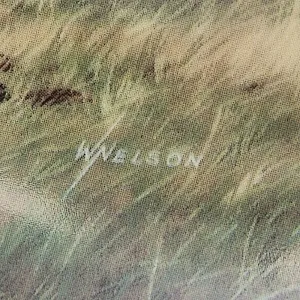 Коллекционная Тарелка Охота - «Песчаная Газель», Фарфор W.J.GEORGE США -1990 год.