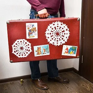 Советские Новогодние Ёлочные игрушки «Бабушкин Чемодан» - 65 штук.  СССР.