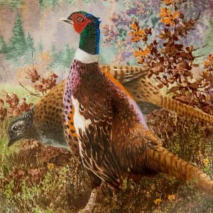 Коллекционная Тарелка «ФАЗАНЫ» Фарфор KAISER Porzellan Германия 1992 год.