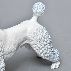 Коллекционная Фарфоровая статуэтка «Собака. ПУДЕЛЬ в зеленом ошейнике», ROSENTHAL Германия.