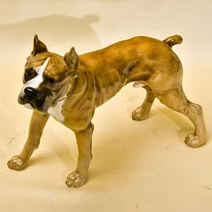 Редкость! Фарфоровая статуэтка  «Собака БОКСЕР», Hutschenreuther Германия, середина ХХ века.