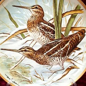 Коллекционная Тарелка «Бекасы» Фарфор Лимож Limoges Франция 1979 год.