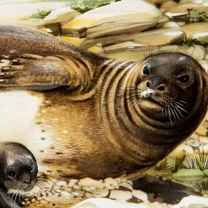 Коллекционная Рельефная Тарелка «ТЮЛЕНИ» Фарфор, Villeroy&Boch Германия -1981 год.