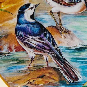 Коллекционная Тарелка - Блюдо «Птицы - Трясогузки у водопада» Фарфор, Reichenbach Германия.