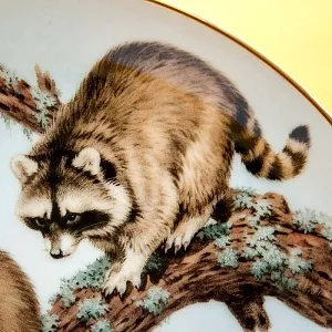 Коллекционная Фарфоровая Тарелка «Лесной Год, МАРТ. Еноты» Фарфор, Англия - 1982 год. 