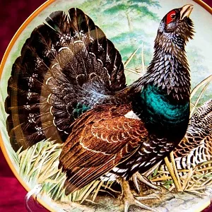 Коллекционная Тарелка «Глухарь» Фарфор Лимож Limoges Франция 1979 год.