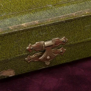 Набор  для Салата Ложка+Вилка Кость Silverplate Франция