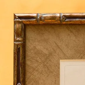 Картина - Литография «Клест» из серии «Птицы Голландии». Nederlandce Vogelen, Голландия.