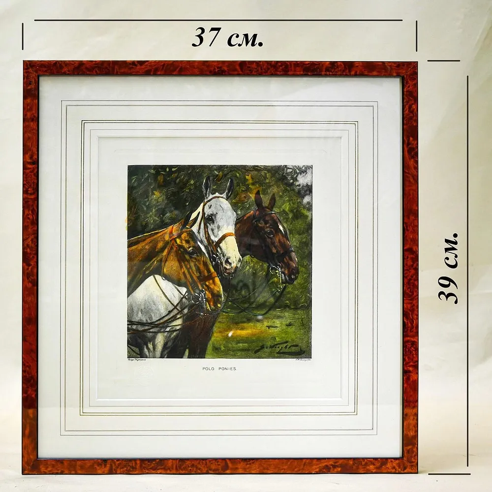 Редкость! Картина - Цветная Гравюра «Лошади - Поло». Thomas ROSS Англия.