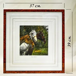 Редкость! Картина - Цветная Гравюра «Лошади - Поло». Thomas ROSS Англия.