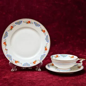 Антикварная Коллекционная Фарфоровая Чайная Тройка «Цветочный орнамент» , Schirnding Porzellan A.G. Германия 1909 - 1925 годы.