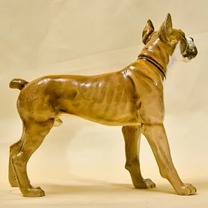 Редкость! Фарфоровая статуэтка  «Собака БОКСЕР», Hutschenreuther Германия, середина ХХ века.