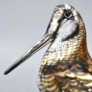 Редкость! Фарфоровая Статуэтка «Птица - Бекас», ROSENTHAL Германия - 40 -е годы ХХ века.