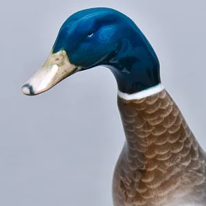 Авторская Фарфоровая статуэтка «Птицы. Утка и селезень», ROSENTHAL Германия, 1974 - 1982 годы.