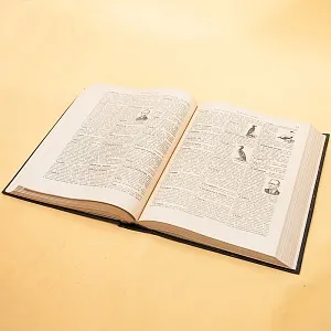 Три Тома Книг «ЭНЦИКЛОПЕДИЧЕСКИЙ СЛОВАРЬ», Издательство "БСЭ" - СССР -1953 год.