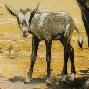 Коллекционная Рельефная Тарелка «АНТИЛОПЫ» Фарфор, Villeroy&Boch Германия -1982 год.