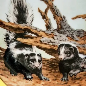  Коллекционная Тарелка «Лесной Год, АПРЕЛЬ. Скунсы» Фарфор, Англия -1982 год.