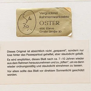 Антикварная Иллюстрация - Гравюра - Картина «Энциклопедия Энтомологии - Бабочки», Германия -1869 год.