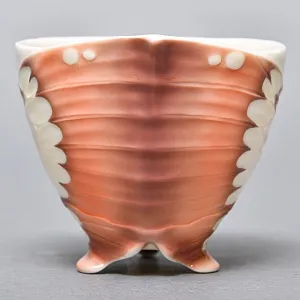 Авторский Фарфоровый Чайный сервиз «Бабочки и стрекозы» на 4 персоны, Franz Collection Тайвань.