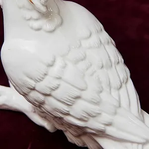 Авторская Коллекционная Фарфоровая Статуэтка «Птица -Попугай - Белый Какаду» Россия.