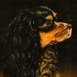 Художественная картина «СПАНИЕЛЬ», Холст, Масло. Бельгия - 70-е годы ХХ века.