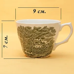 Чайная пара+Тарелка (Тройка) «Memory Lane (Green)» Фарфор BRITISH ANCHOR, Англия - 60 гг.