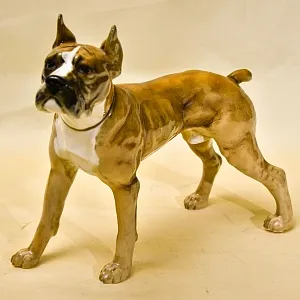 Редкость! Фарфоровая статуэтка  «Собака БОКСЕР», Hutschenreuther Германия, середина ХХ века.