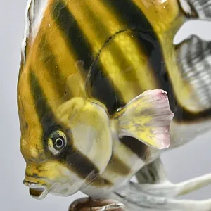 Коллекционная статуэтка «РЫБКА. Плывущая Скалярия», Фарфор ROSENTHAL Германия - 1938 год.