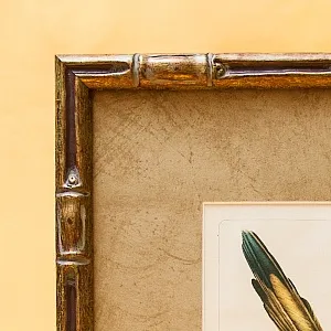 Картина - Литография «Сорока» из серии «Птицы Голландии». Nederlandce Vogelen, Голландия.