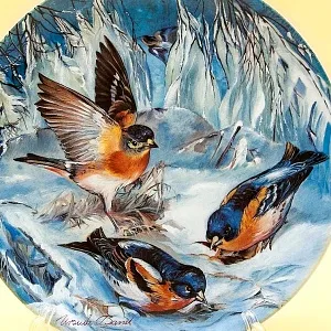 Коллекционная Тарелка «Вьюрки зимой» Фарфор, Hutschenreuther, Германия -1993 год.