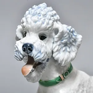 Коллекционная Фарфоровая статуэтка «Собака. ПУДЕЛЬ в зеленом ошейнике», ROSENTHAL Германия.