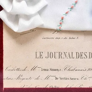 Винтажная Картина - Иллюстрация - Гравюра «Мода. Ручные голуби», Франция.