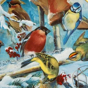 Большое Коллекционное Блюдо - Тарелка «Птицы зимой», Фарфор Hutschenreuther, Германия.