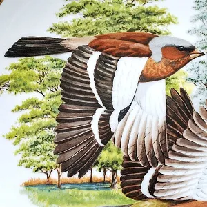 Коллекционная Тарелка - Блюдо «Зяблик» Фарфор, Franklin Porcelain США -1980 год.