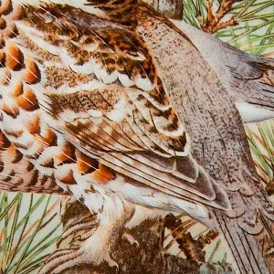 Коллекционная Тарелка «Рябчики» Фарфор Лимож Limoges Франция 1979 год.