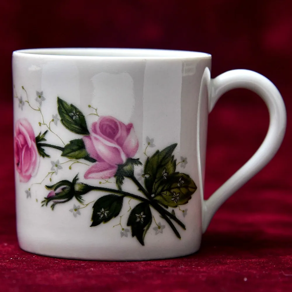 Коллекционная Кофейная Пара «Розовый куст», фарфор Porcelains Champs-Elysees Limoges, Франция.