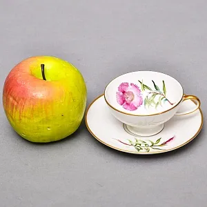 Коллекционная Фарфоровая Кофейная Пара «Горная гвоздика», ROSENTHAL Германия.