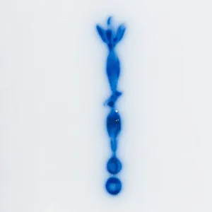 Две Коллекционные Фарфоровые Чайницы,  KPM Berlin, Германия, середина ХХ века.