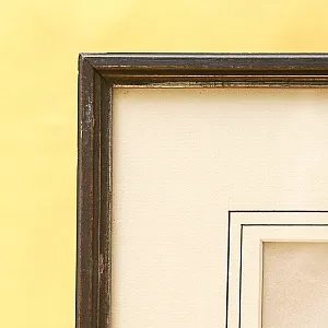 Антикварная Иллюстрация - Гравюра - Картина «Энциклопедия Энтомологии - Бабочки», Германия -1869 год.