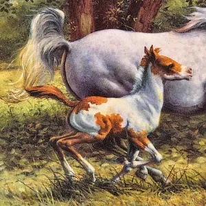 Коллекционная Фарфоровая тарелка «Лошади. Скачки вдоль ручья», Furstenberg Германия - 1995 год.