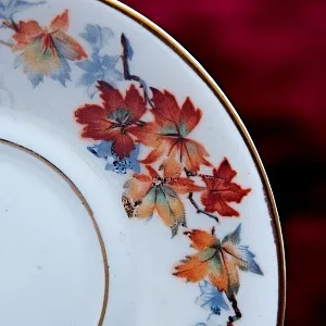 Фарфоровая Кофейная Пара «Кленовые листья», Бавария, Германия вторая половина ХХ века.-копия