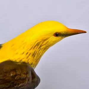 Коллекционная Фарфоровая статуэтка «Птица. ИВОЛГА», GOEBEL Германия, 1972 - 1979 годы.