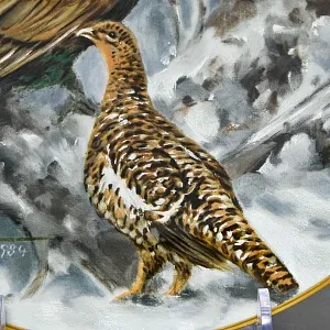 Коллекционная Фарфоровая Тарелка - Блюдо «Дикая Природа. Глухарь и глухарка», KAISER Германия. 