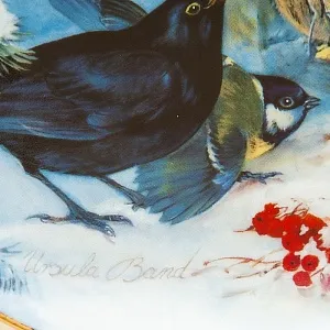 Большое Коллекционное Блюдо - Тарелка «Птицы зимой», Фарфор Hutschenreuther, Германия.